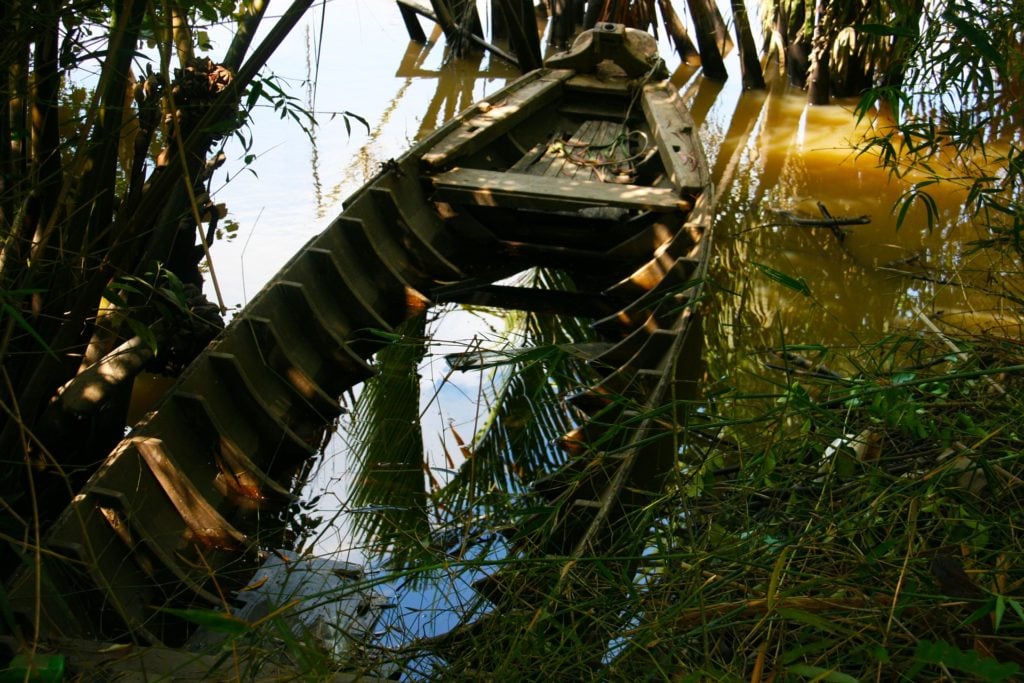 A sunken rowboat in algae-ridden water