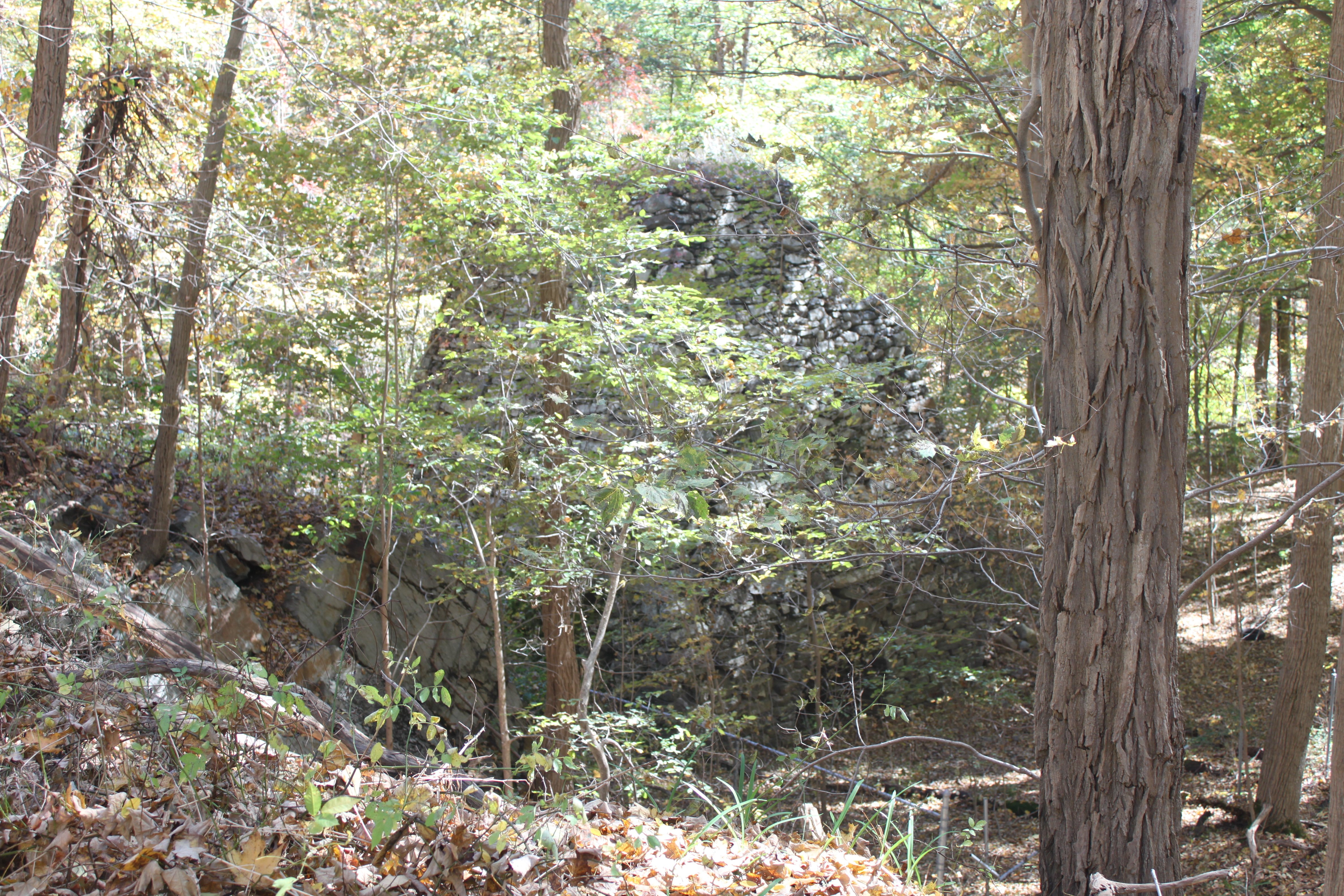 The furnace off of Clinton Road