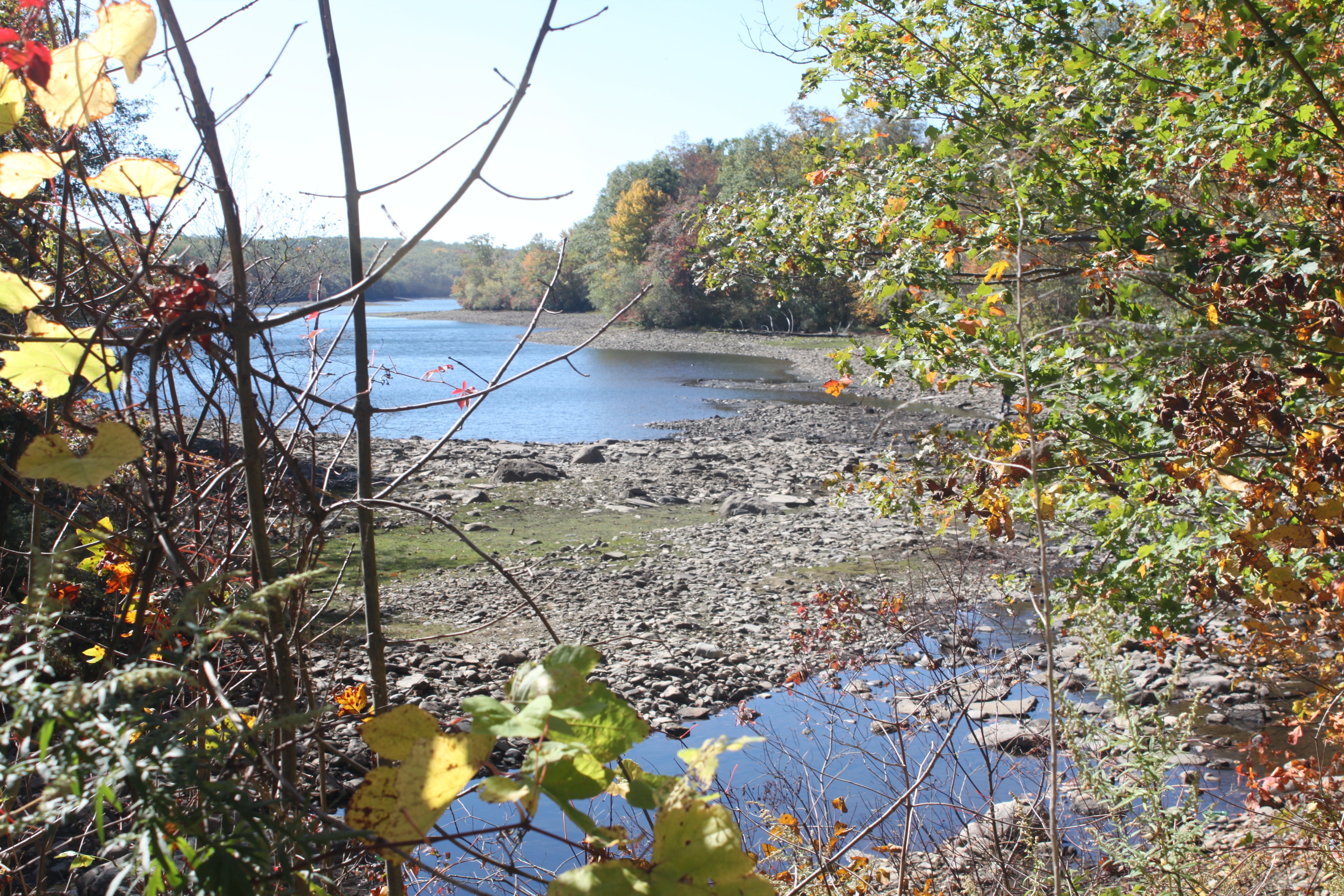 The creek on Clinton Road