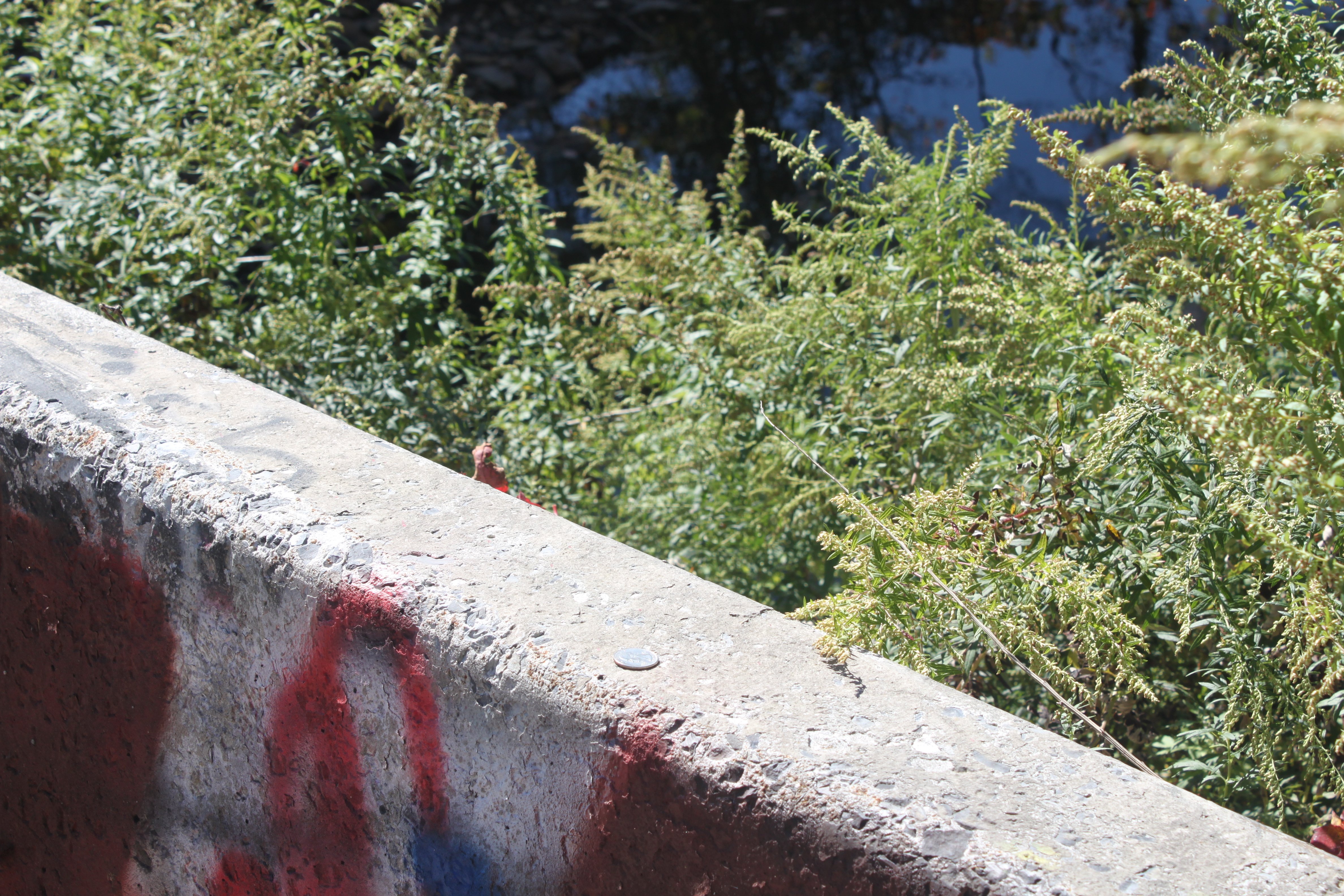 Coins lying on a guardrail on Clinton Road