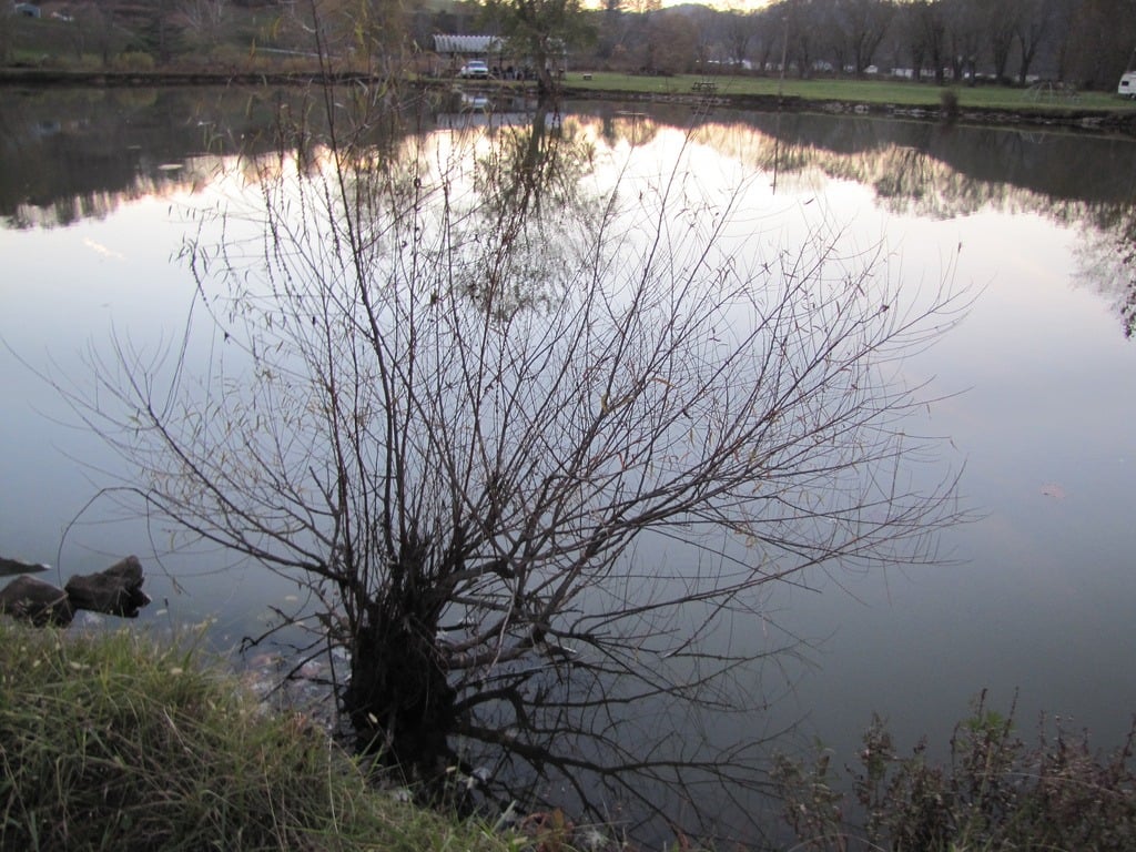Lake Shawnee pond