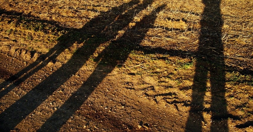 Shadows of children on the ground at sunset