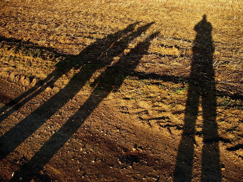 Shadows of children on the ground at sunset