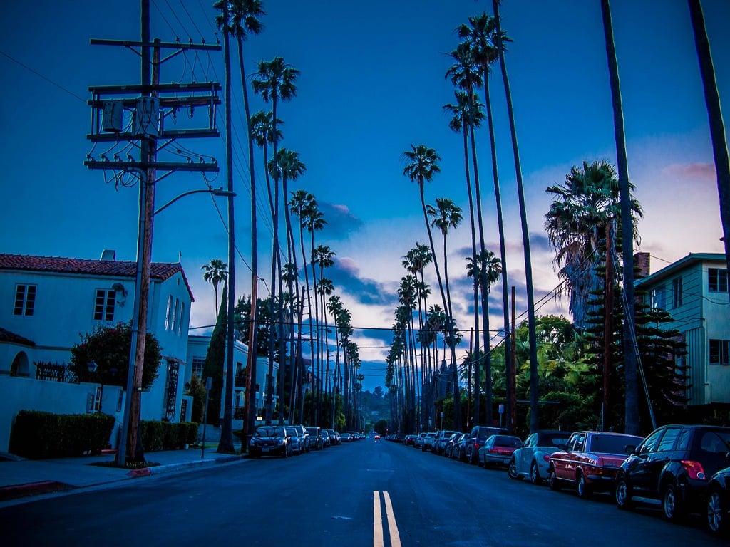 A palm tree-lined street in Los Feliz, California