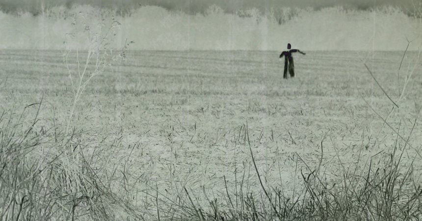 A scarecrow in a field