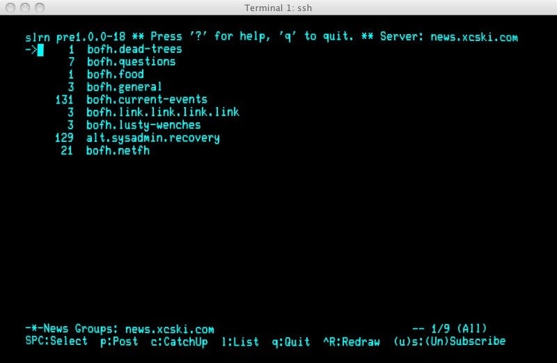 A usenet screen