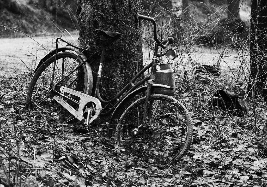 A bicycle leaning against a tree