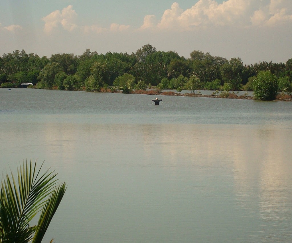 A scarecrow in the middle of a lake