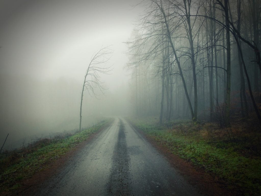 A foggy road with spindly, leafless trees to the right