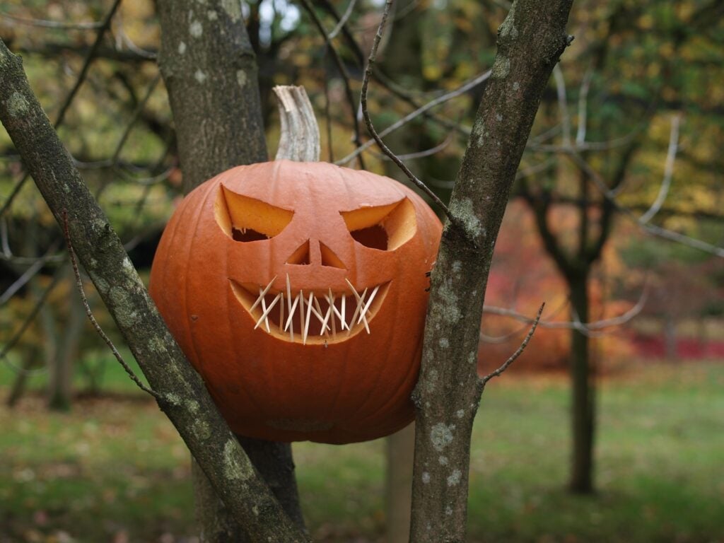 A jack o lantern