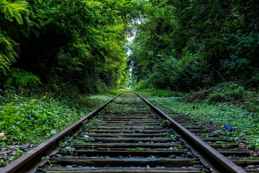 Railroad tracks in the woods