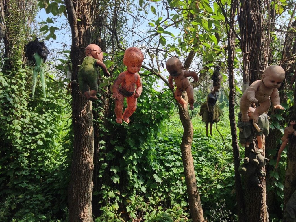 Dolls suspended in trees