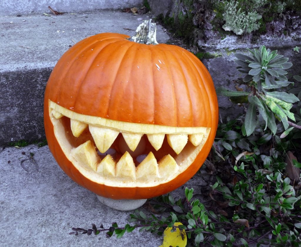 A pumpkin carved with a mouth full of teeth but no eyes