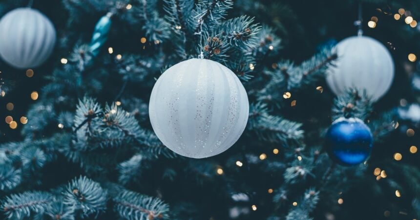 A Christmas ornament hanging from a tree