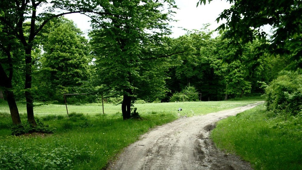 Haunted Globetrotting Hoia Baciu The Most Haunted Forest In Romania