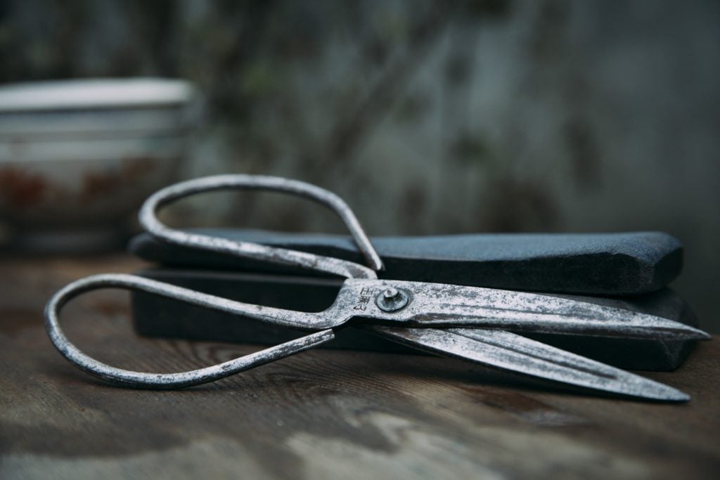 An ancient pair of scissors