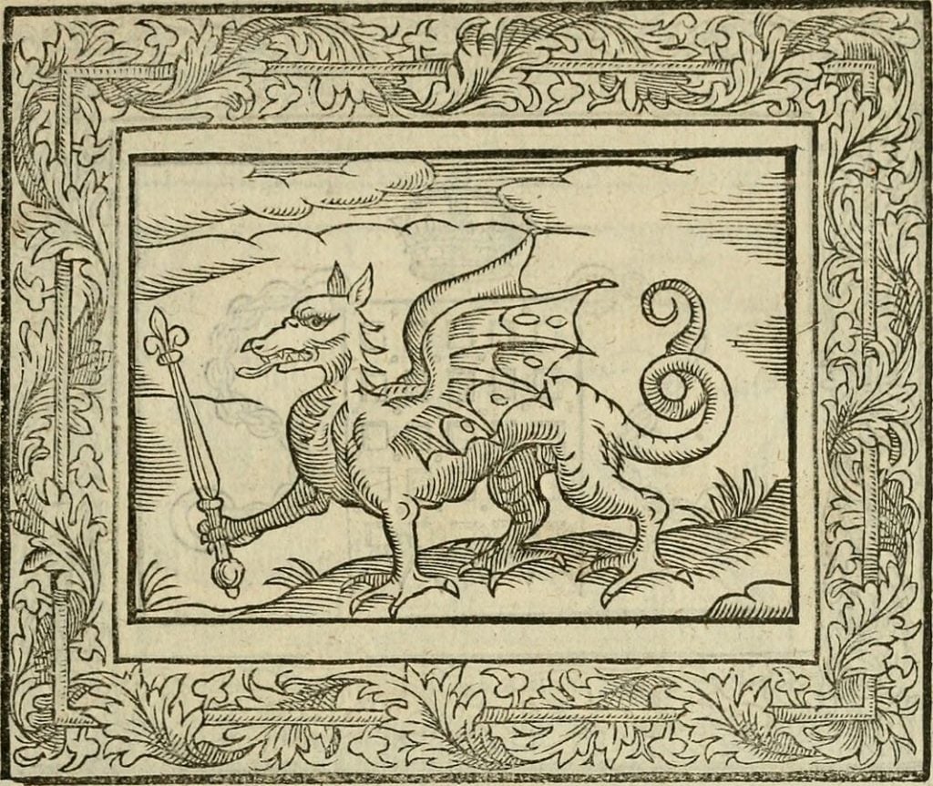 An illustration of a dragon