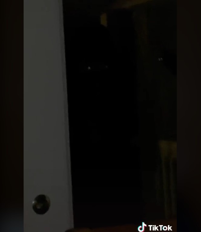 A glass door inside an apartment, leading to a porch outside.  It's dark, inside and out - it's nighttime, and the power has gone out. A pair of glowing eyes is visible outside, on the porch.