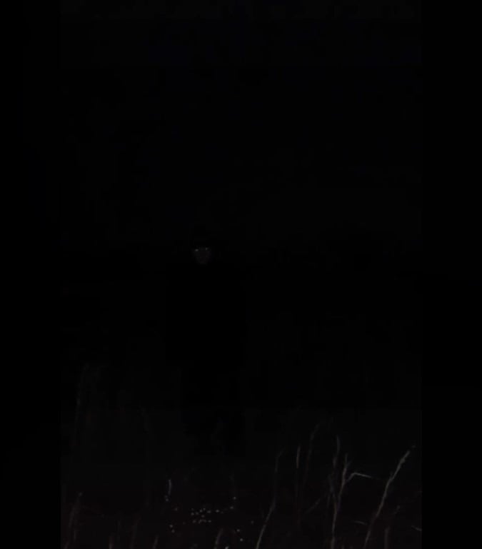 AN image of a dark field outside at night. There's an indistinct, humanoid figure with glowing eyes standing at a slight distance.