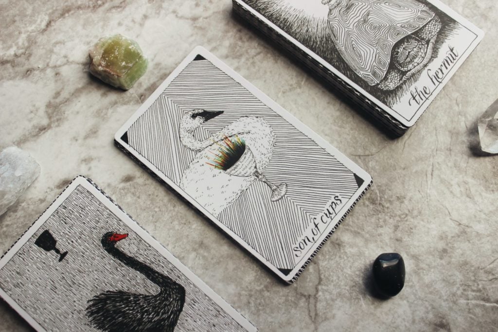 Three cards from the modern Wild Unknown tarot deck sitting on a light-colored, marble surface. From left to right: A partially obscured card with a black ostrich, the Son of Cups featuring a white swan with a cup, and the Hermit featuring a turtle hiding in its shell.