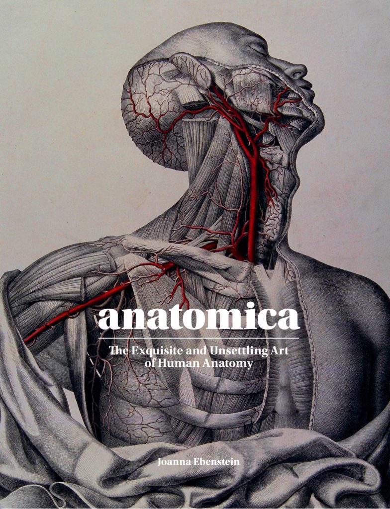 The cover of Anatomica by Joanna Ebenstein. It features an illustration of a person's torso and head, with the skeleton, vascular system, and other inner workings visible, as if by X-ray.