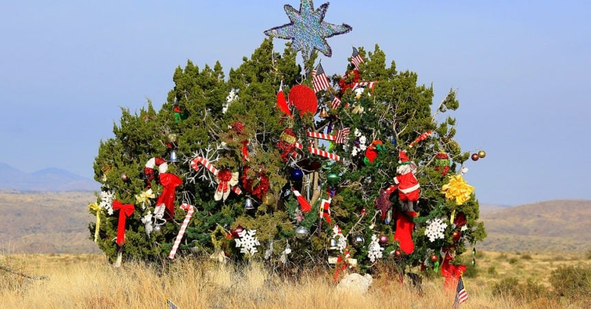 The Mystery Christmas Tree of I-17: A large, scrubby one-seed juniper decked out in holiday decorations, with a large, glittery star at the top.