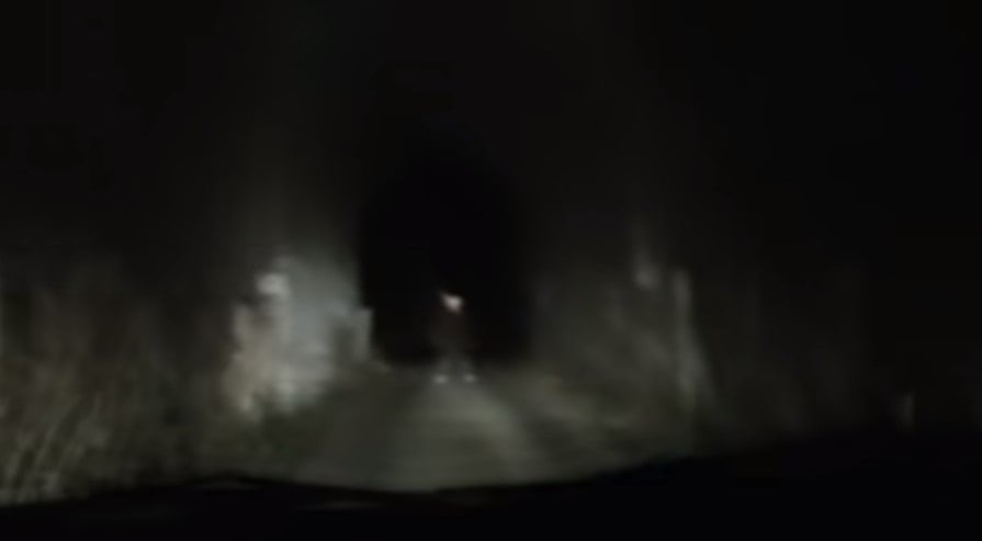 A white figure standing in front of a tunnel