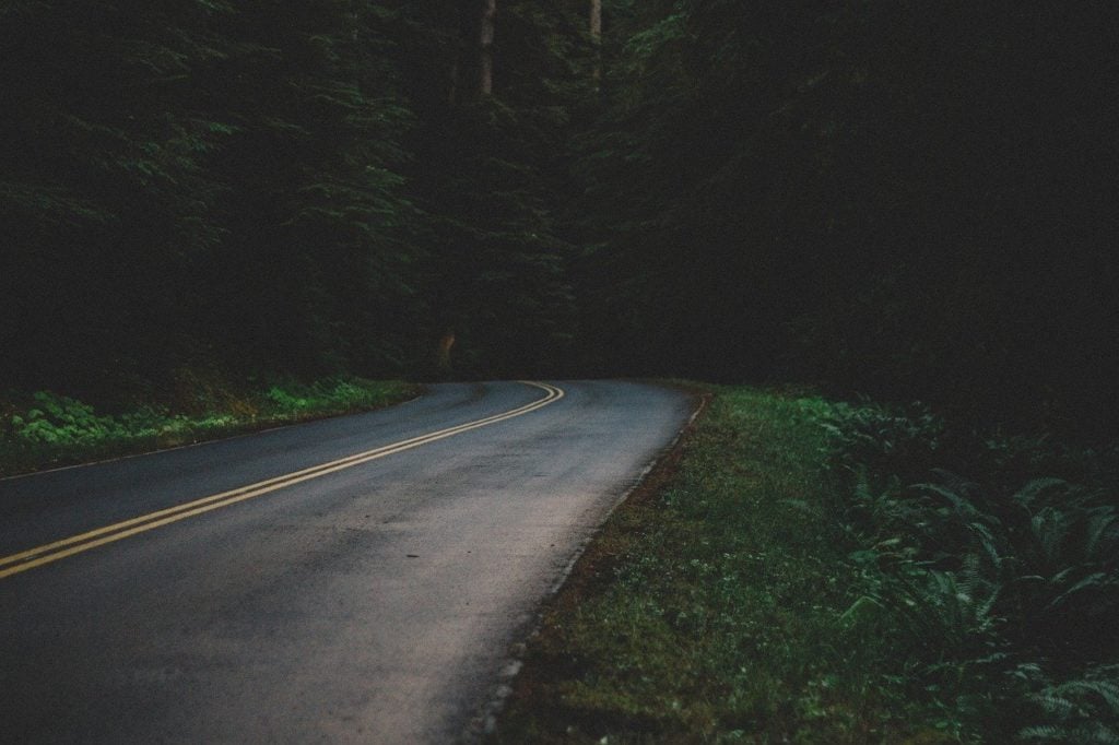 A road in the woods