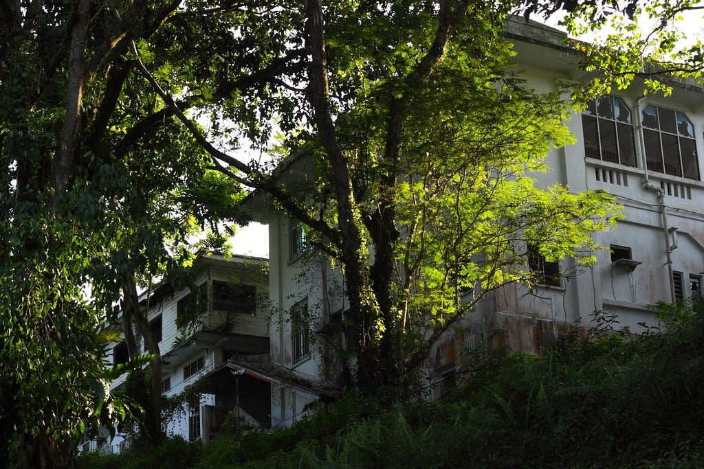 The exterior of Old Changi Hospital in Singapore viewed through green, leafy trees