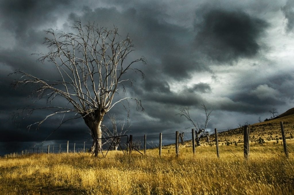 A field under a cloudy, stormy sky