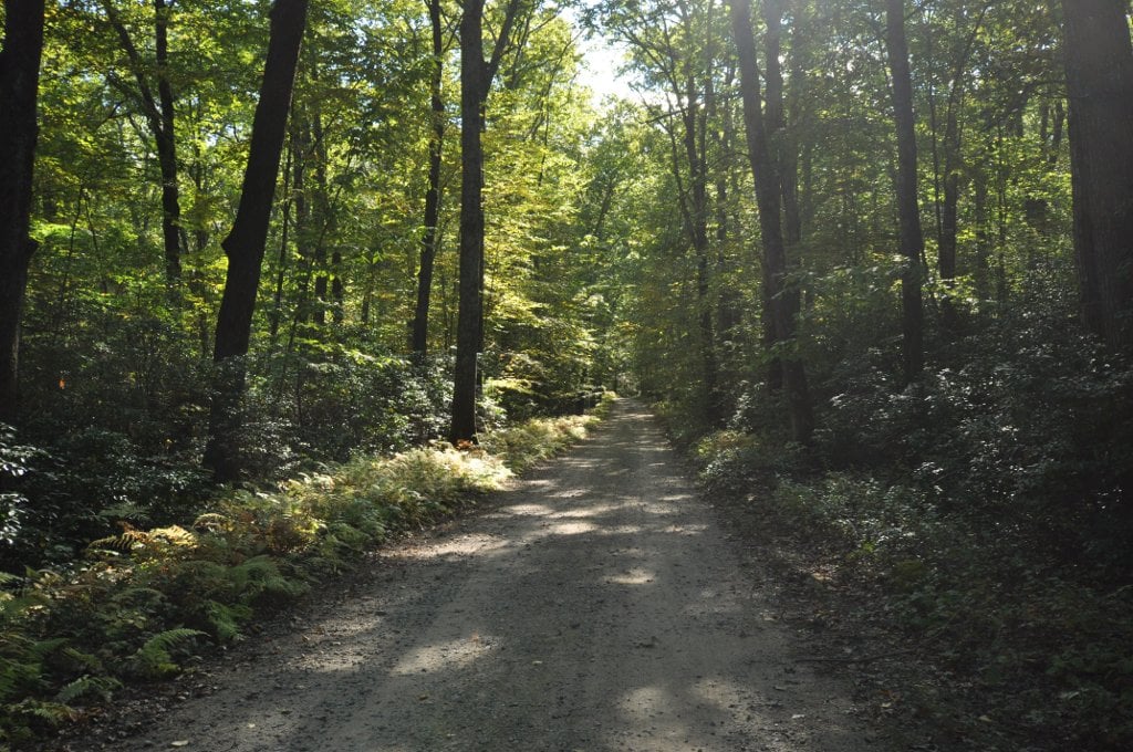 A trail in Mashamoquet Brook State Park