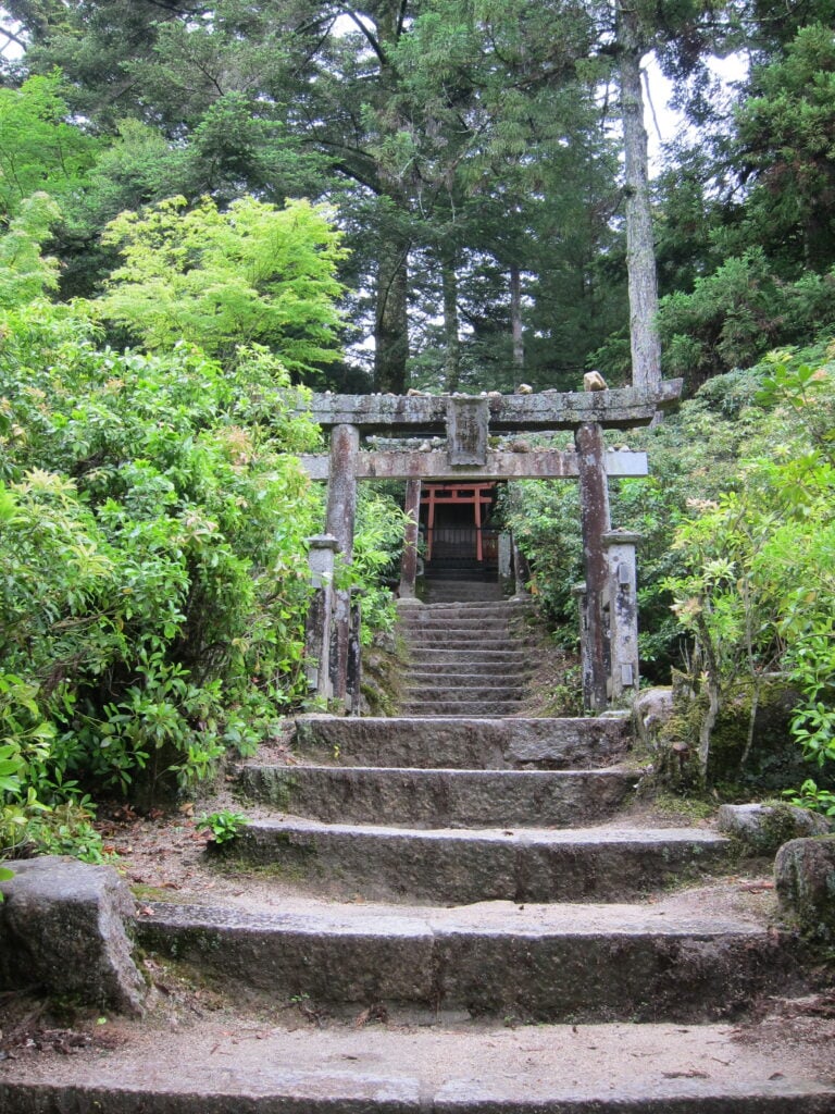 A forest path and torii gate leading to a shrine in the forest