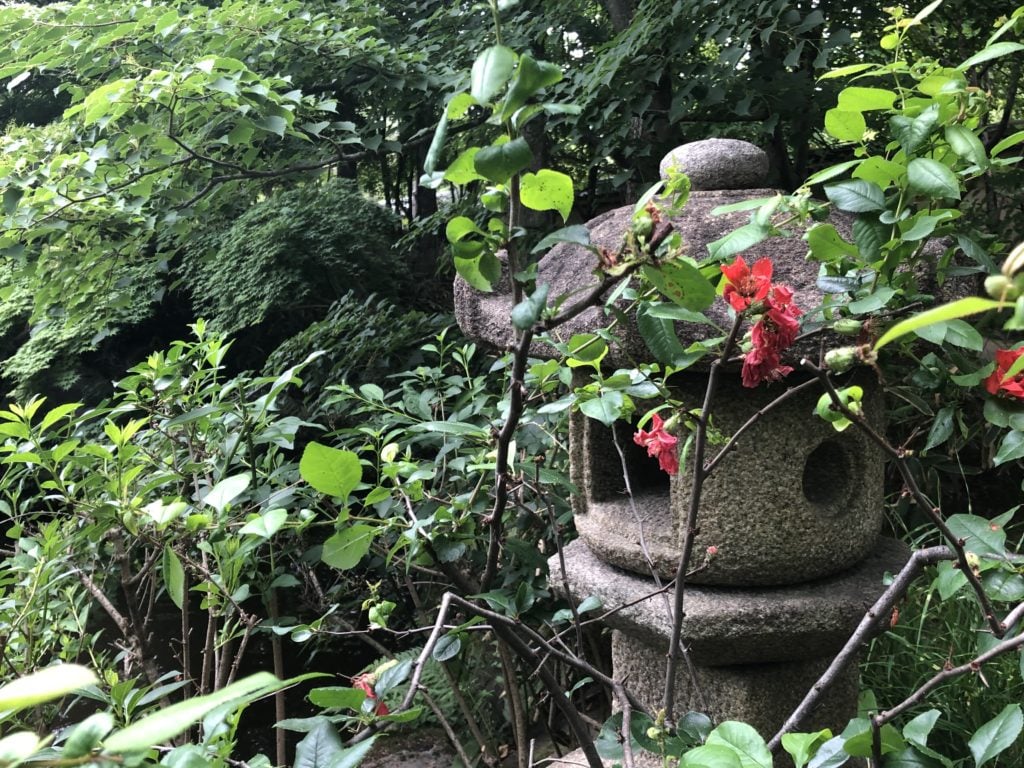 A stone lantern in the woods, surrounded by greenery