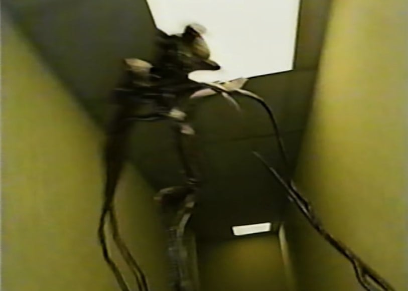 The creature in the Backrooms (Found Footage) video