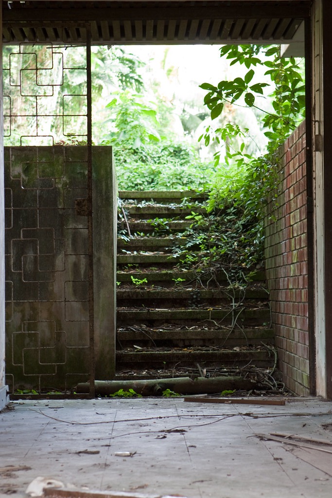 Overgrown stairs at the abandoned hostel
