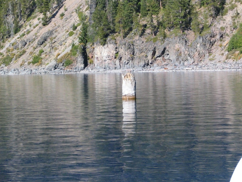 "Old Man Driftwood" floating about in the middle of Crater Lake