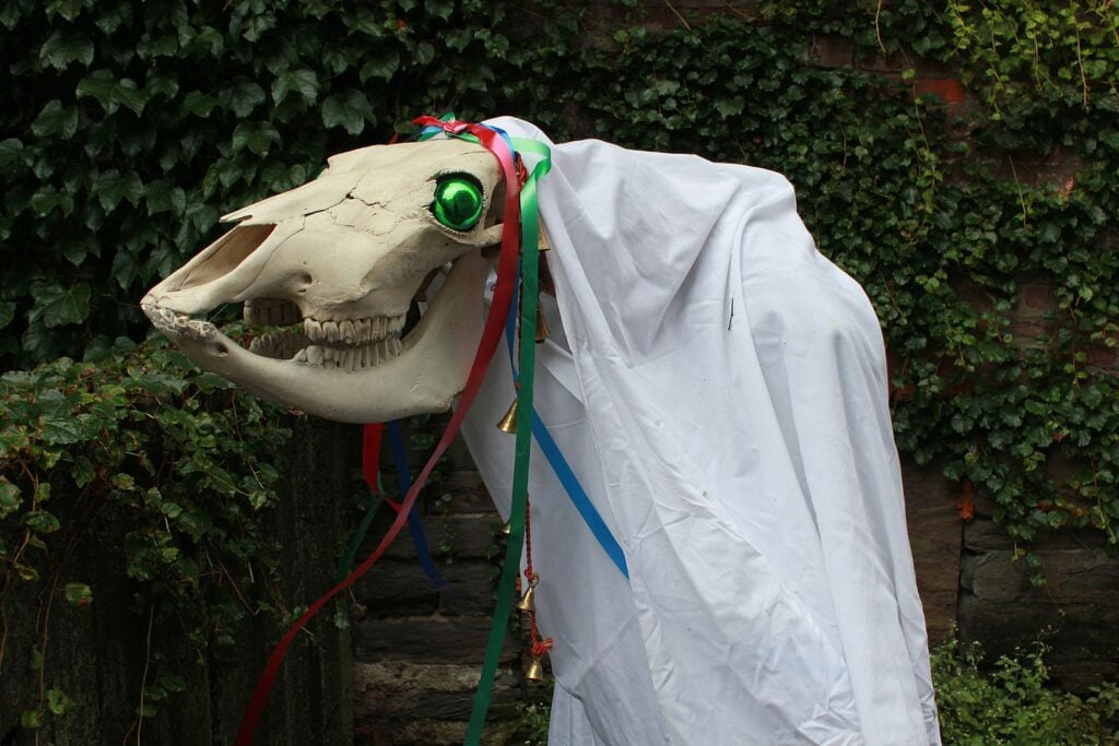 The Mari Lwyd