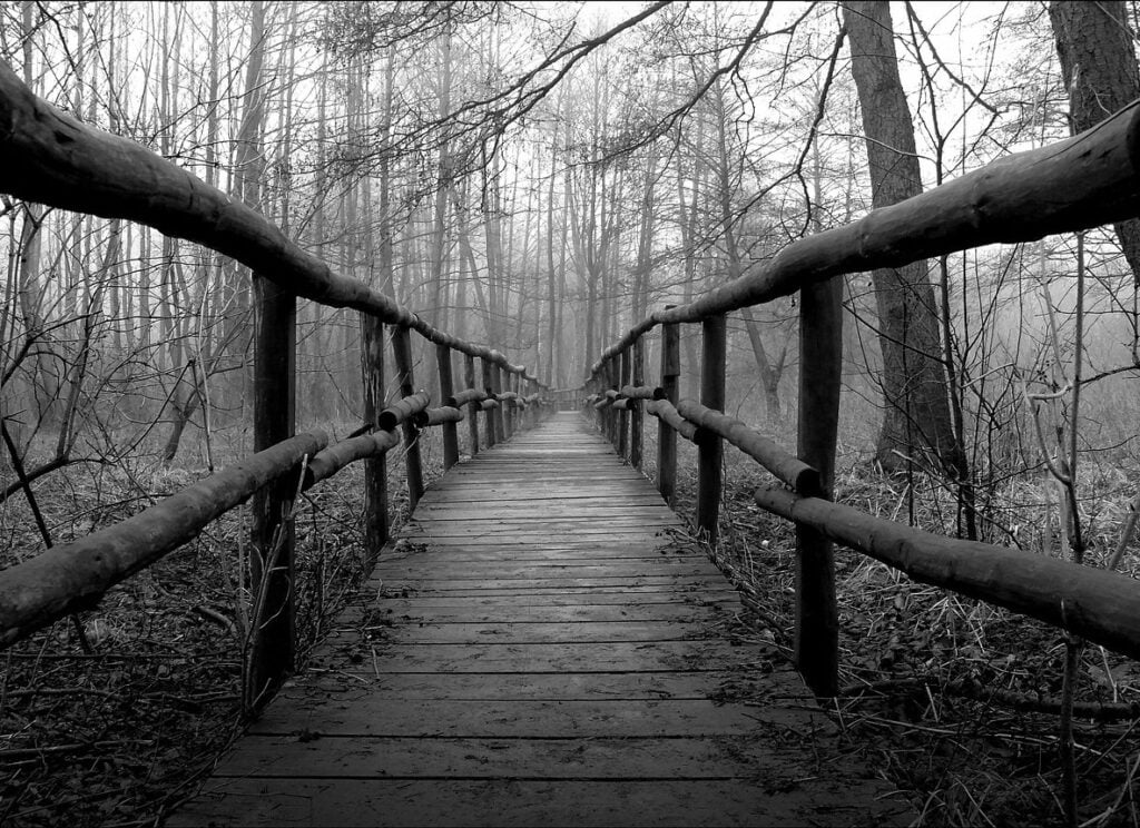 A black and white photo looking across an old wooden bridge in the woods