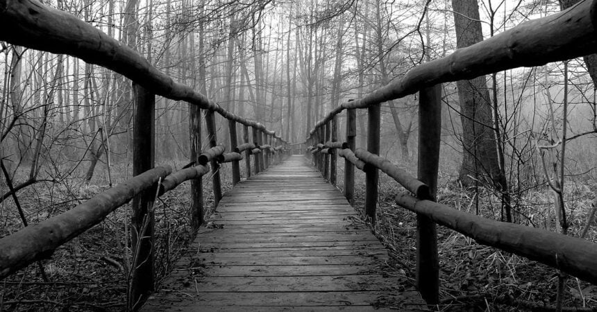 A black and white photo looking across an old wooden bridge in the woods