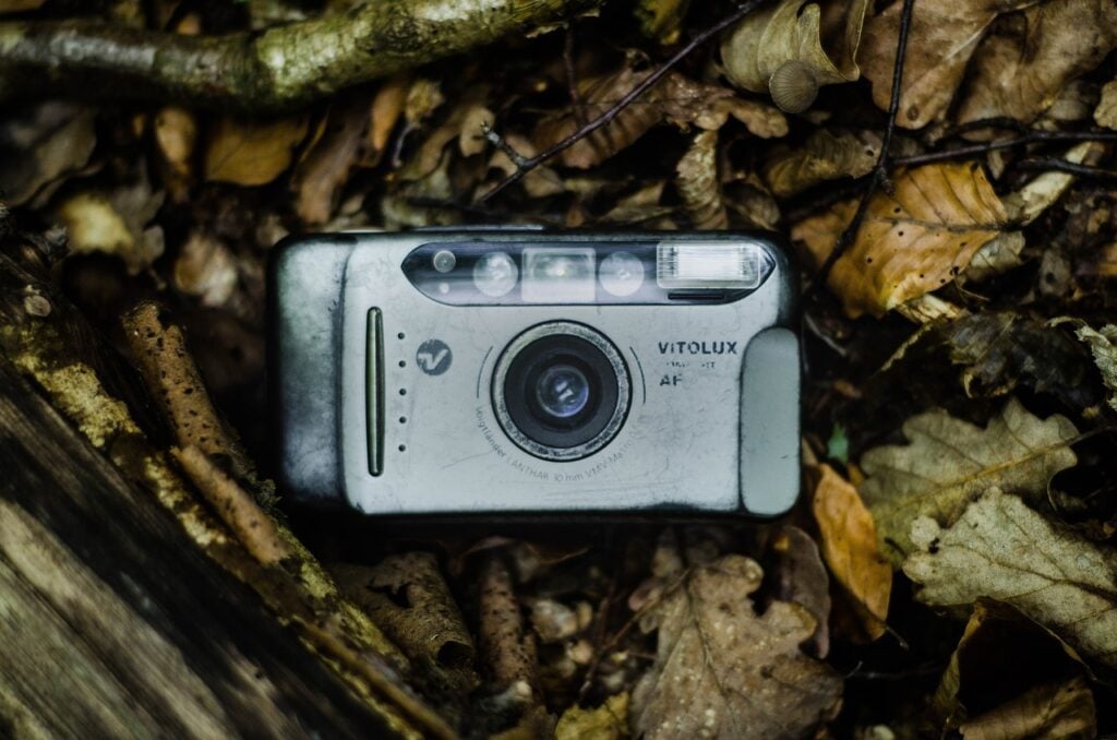 An out-of-date camera lying on a bed of dead leaves