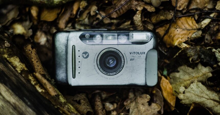 An out-of-date camera lying on a bed of dead leaves