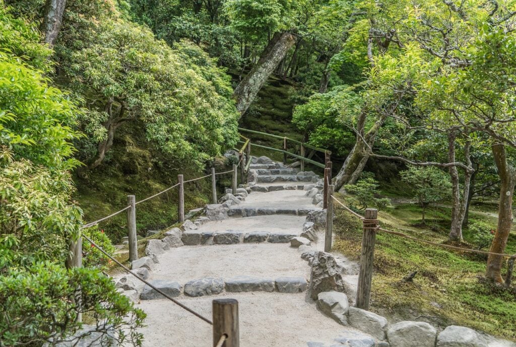 A stone-paved path leading into lots of trees