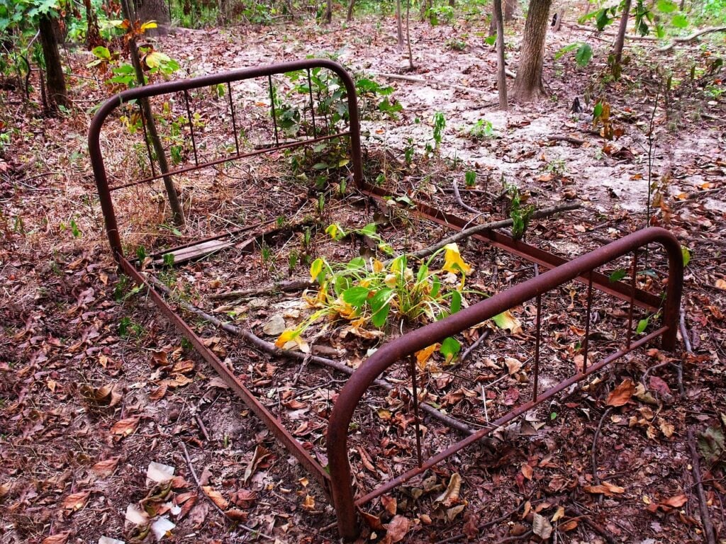 a rusted metal bedframe abandoned in the woods