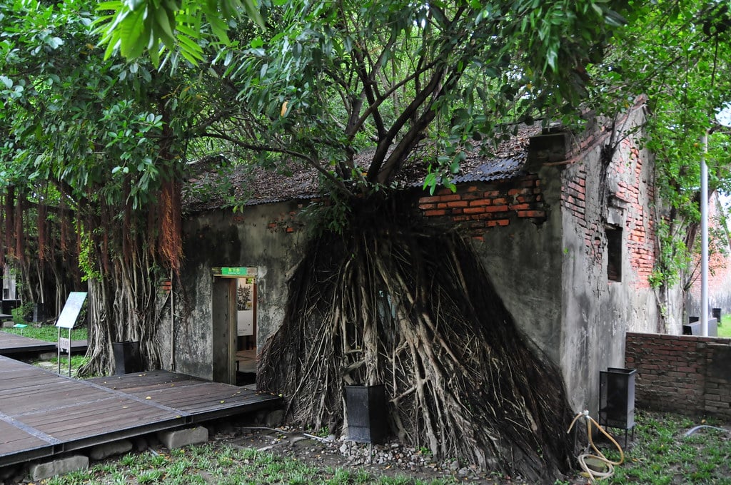 the anping tree house