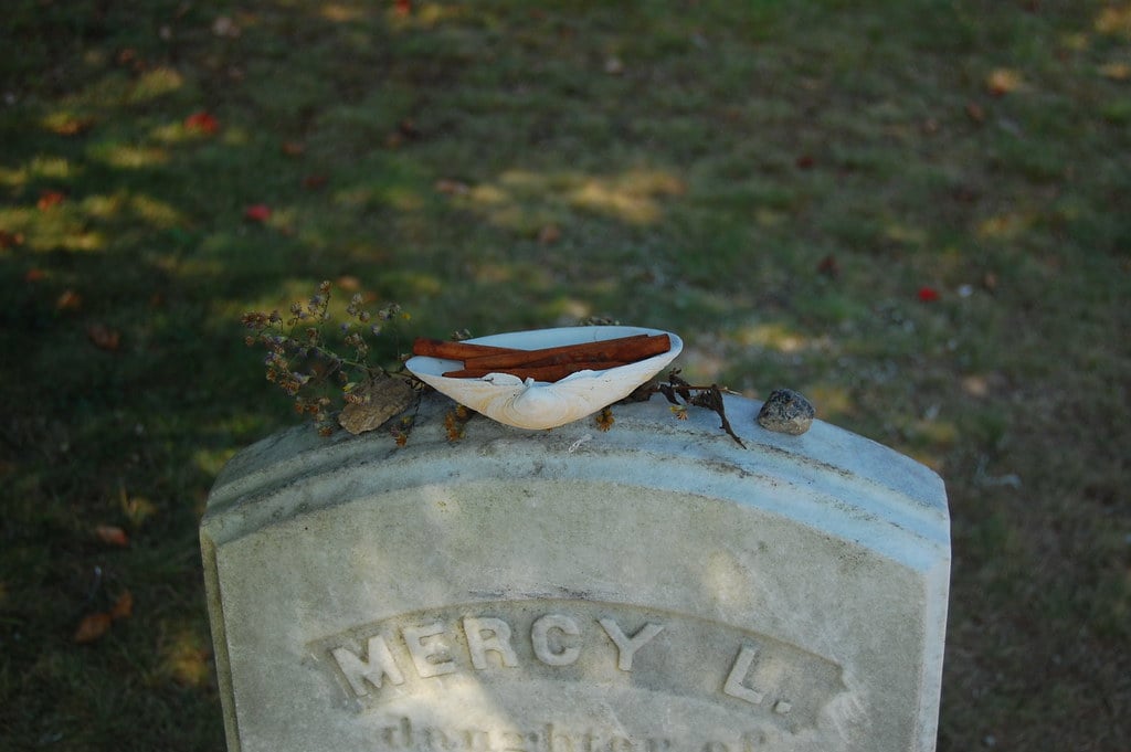 an offering of cinnamon sticks atop Mercy Brown's grave