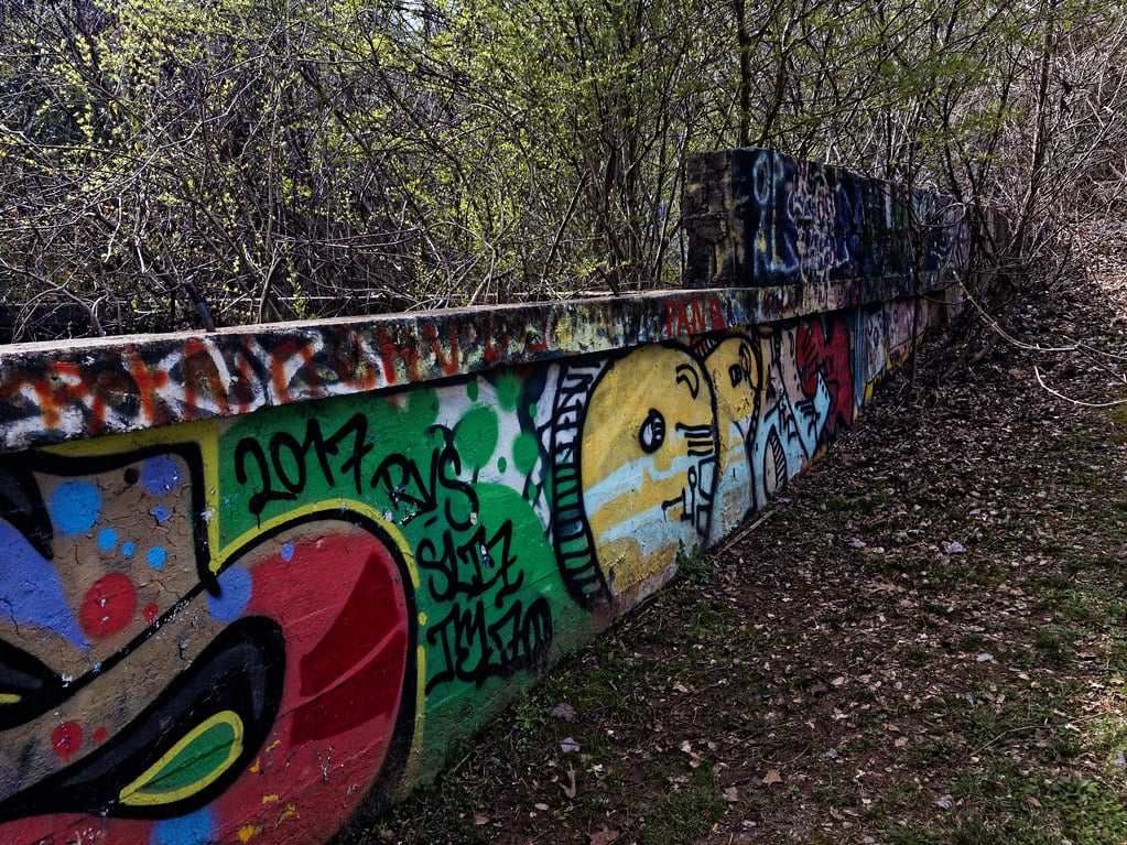 Graffiti at the Decatur Waterworks ruins