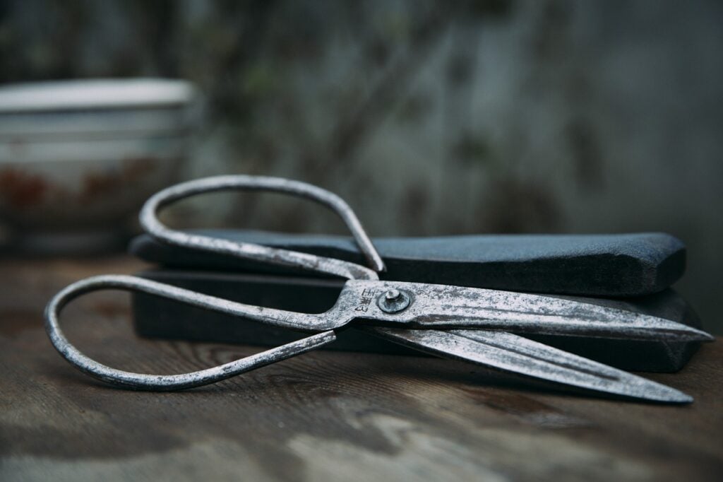 a pair of slightly rusty scissors, possibly for use in cutting fingernails