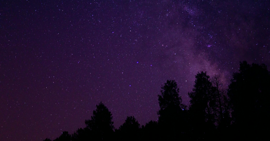the treeline silhouetted at night against a dark purple sky dotted with stars