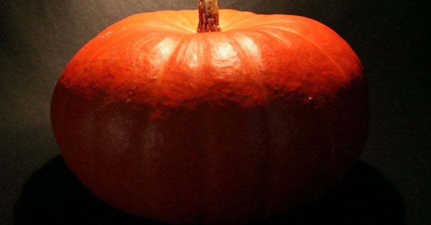 a large, orange pumpkin set against a black background