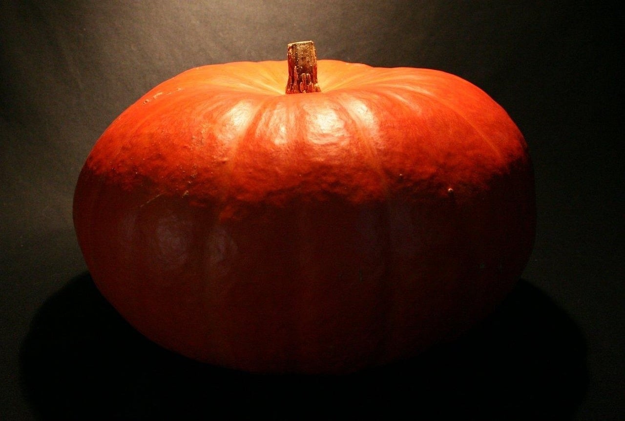 Creepypasta Of The Week: “Harvest Hill” (Or, It’s The Great Pumpkin’s Terrifying Grimoire, Charlie Brown)